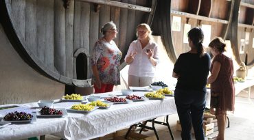 Journée du raisin de table