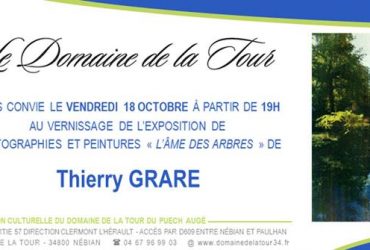 Vernissage photographies et peintures de Thierry Grare le 18 octobre à 19h00