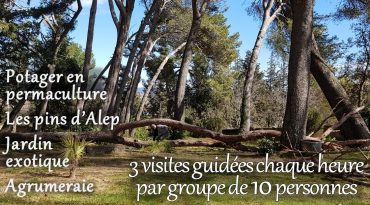 Visite des Jardins, dimanche 14 juin 2020