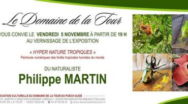 Vernissage le vendredi 5 novembre 2021 à 19h, Philippe Martin