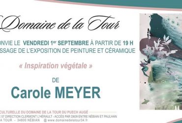 Vernissage de l’Exposition « Inspiration Végétale » de Carole MEYER le vendredi 1er septembre à partir de 19h00.